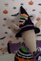 Outfit Set for Maileg "Scary Witch"(100 gram)